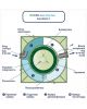 Гринлос Аква 6 Пр Лонг - фото 5